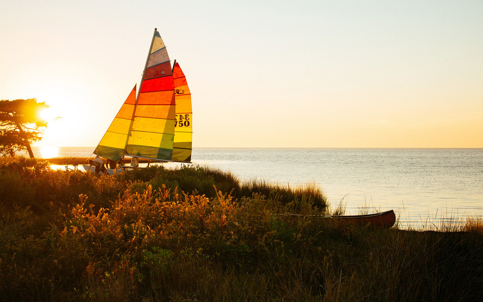 Colorful sails of a sailboat glow, backlit by a bright setting sun. Marsh grasses glisten in the foreground. Sound to the right.