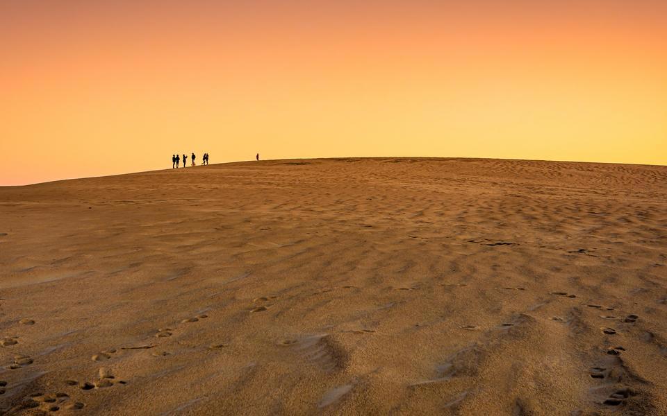 Several tiny silhouettes of visitors dot the top of a sand ridge under golden skies at Jockey's Ridge State Park