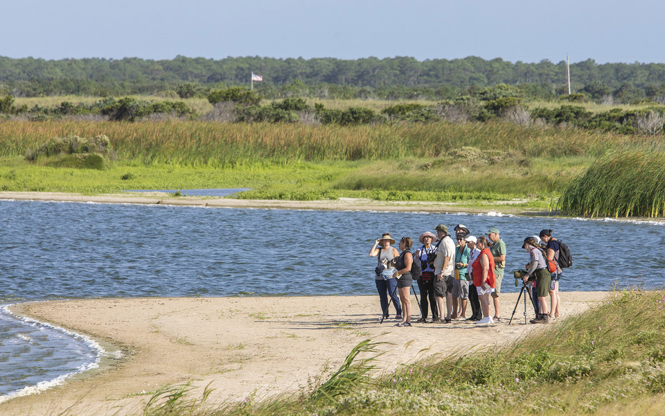 Hiking and birding group on a sand beach along the sound with a beautiful view