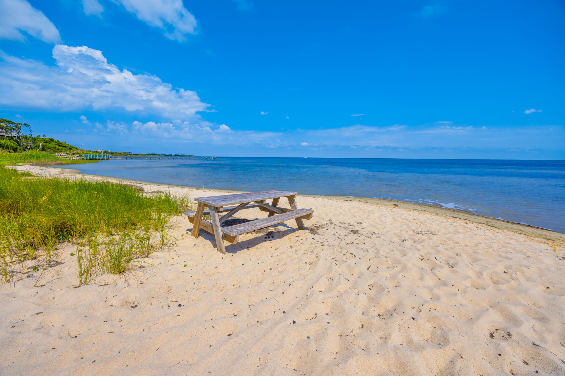 The Treehouse - #1227 | Surf or Sound