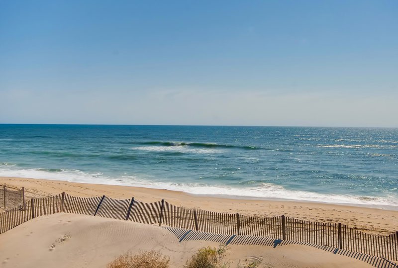 Flip Floppin' 901 Surf or Sound