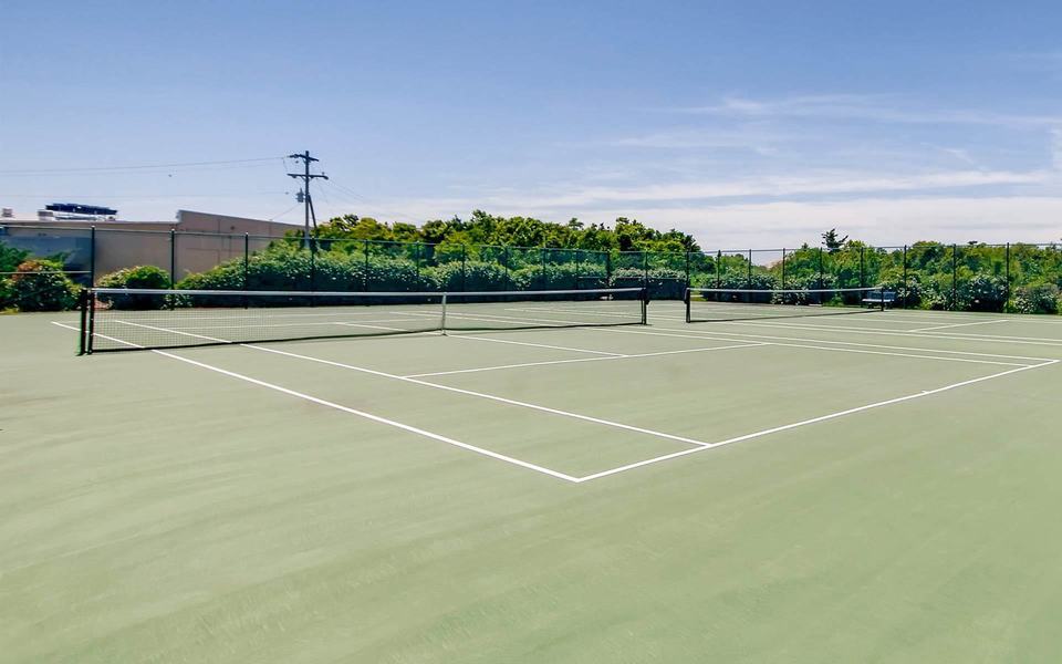 Tennis court with green surface and white lines. Low green trees line the far side of the court.