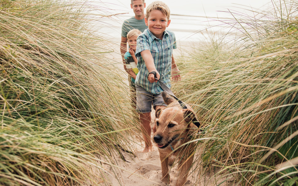 Puppy on a leash leads a young boy in a plaid shirt along a sand path though sea oats followed by his father and brother