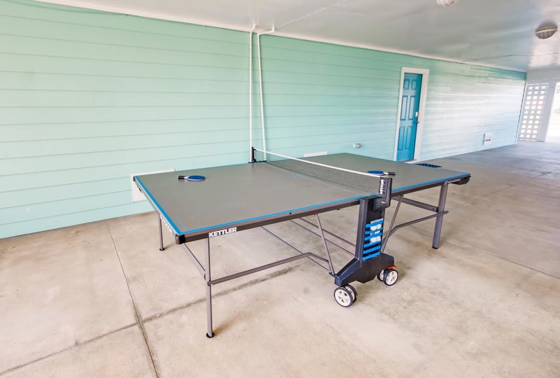 Tipsy Turtle 502 Surf or Sound