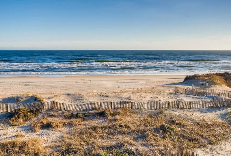 Loggerhead 785 Surf or Sound