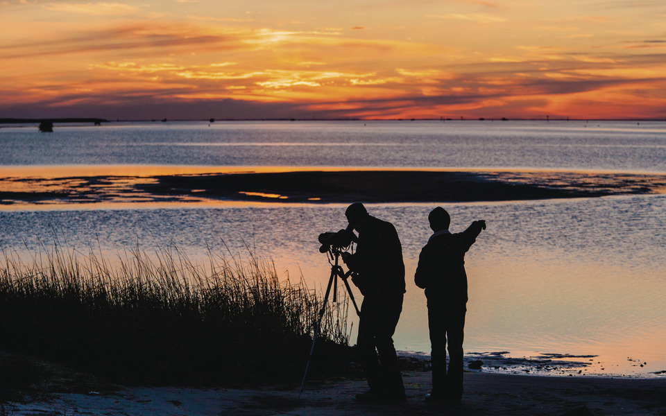 Silhouettes of two bird watching figures and a camera tripod against a beautiful sunset over the Pamilco Sound