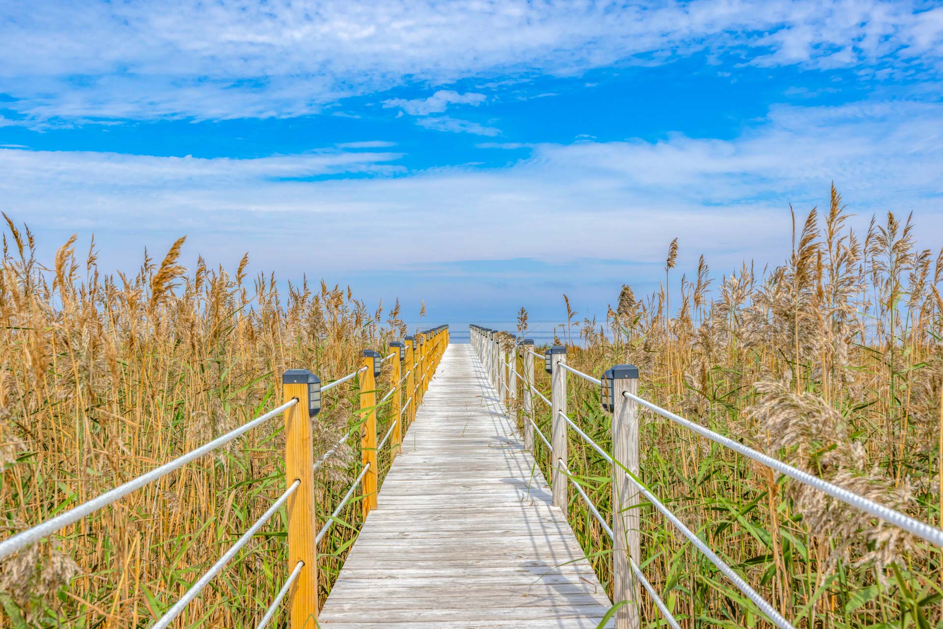 Surf Or Sound Realty 191 Sounds Frisky Boardwalk