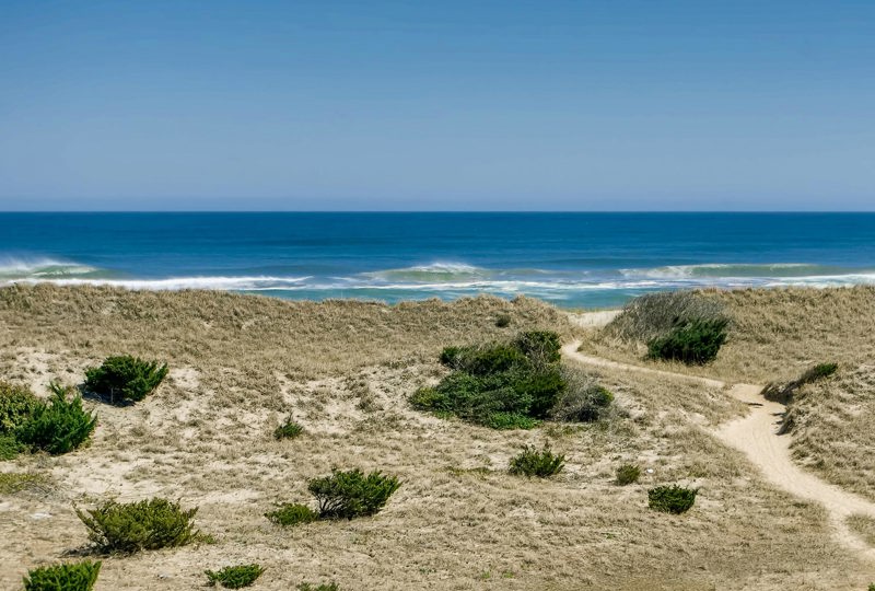 Moonshine 684 Surf or Sound