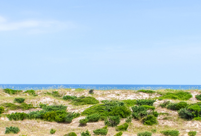 Surf Or Sound Realty Keep Dreamin 401 View 3333624