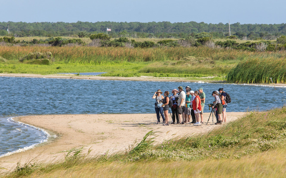 A group of visitors receives information from a Park Ranger tour on a sandy soundside beach in the Pea Island Wildlife Refuge