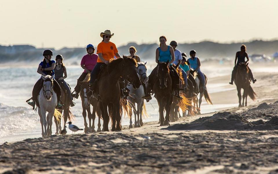 Long lens (zoom) shot of a group on horseback riding toward the camera up the beach on Hatteras Island