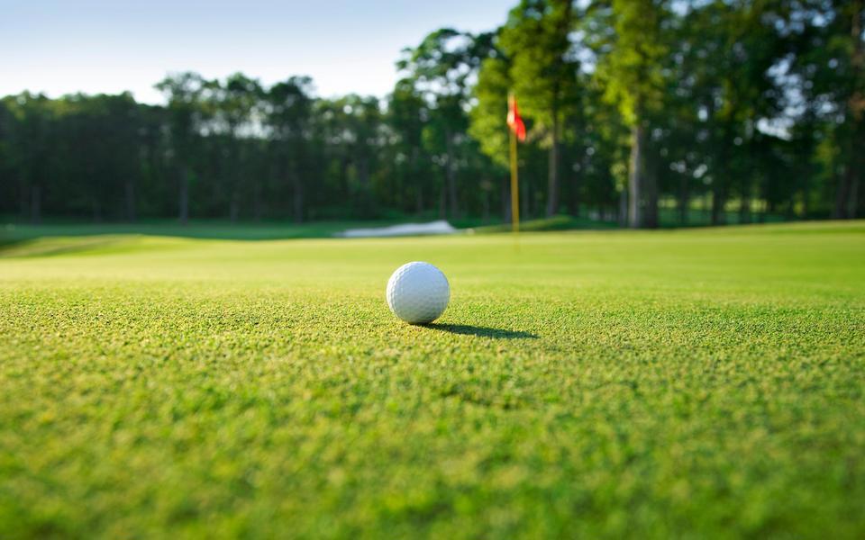 Worm's eye view of a golf ball, flag in the distance, shady trees beyond the flag. Green grass fills the frame.
