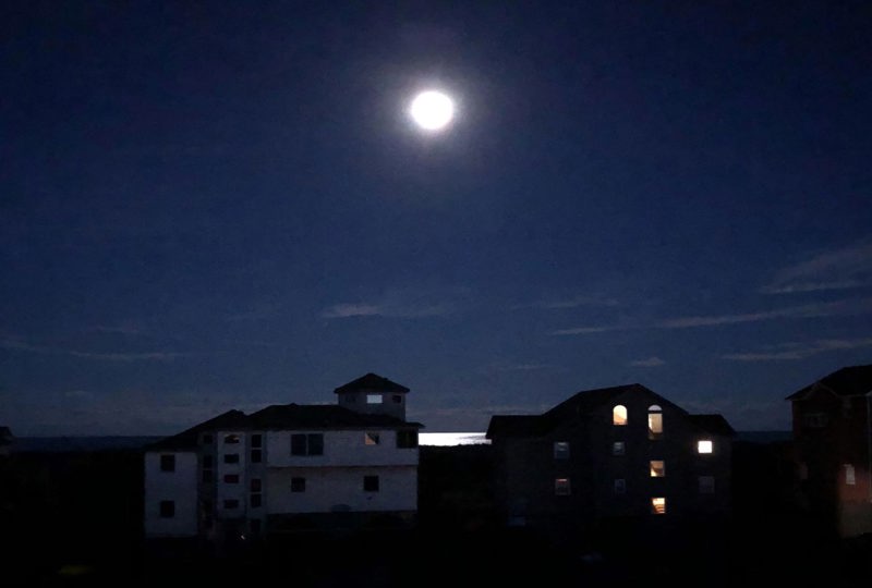 Freebird 460 Surf or Sound