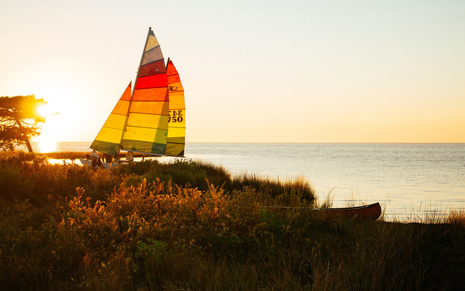 Colorful sails of a sailboat glow, backlit by a bright fall sun. Marsh grasses glisten in the foreground. Sound to the right.