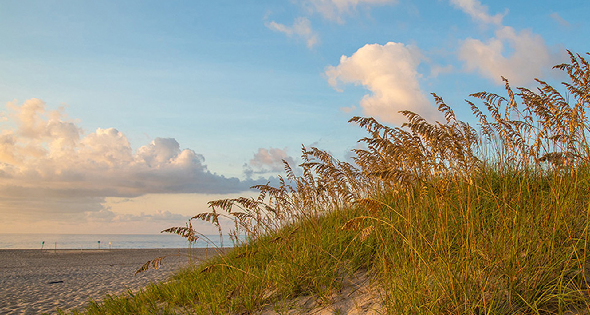 Off Season Box4 Sea Oats 960X600 318K