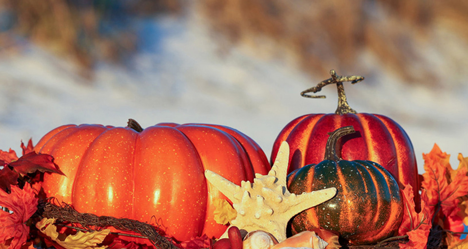 Holiday Box3 Pumpkins Gourds 960X600 251K