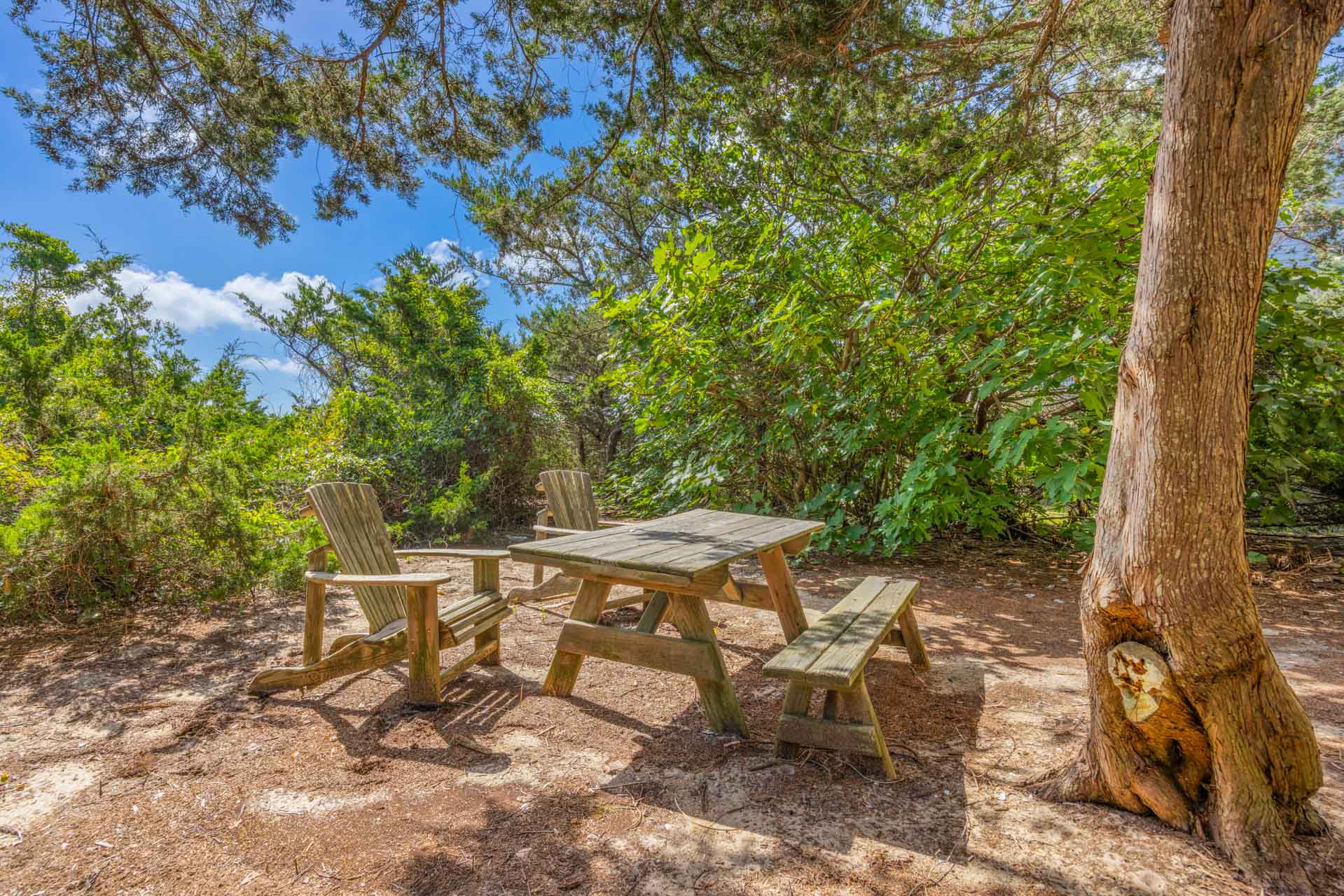 Surf Or Sound Realty 1258 Idle Minds Picnic Area